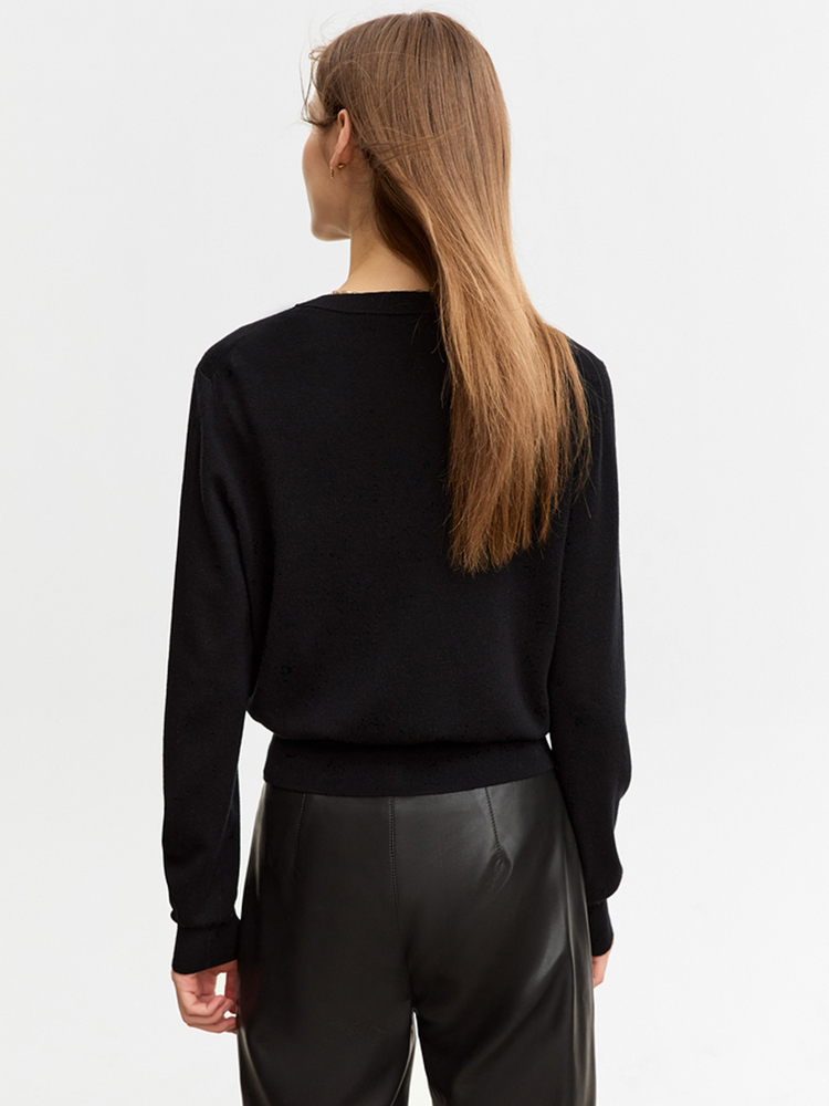 AMII Minimalist Woolly Sweater - Embroidery Lady Bug review and price