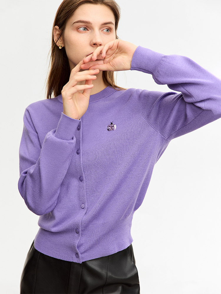 AMII Minimalist Woolly Sweater - Embroidery Lady Bug review and price