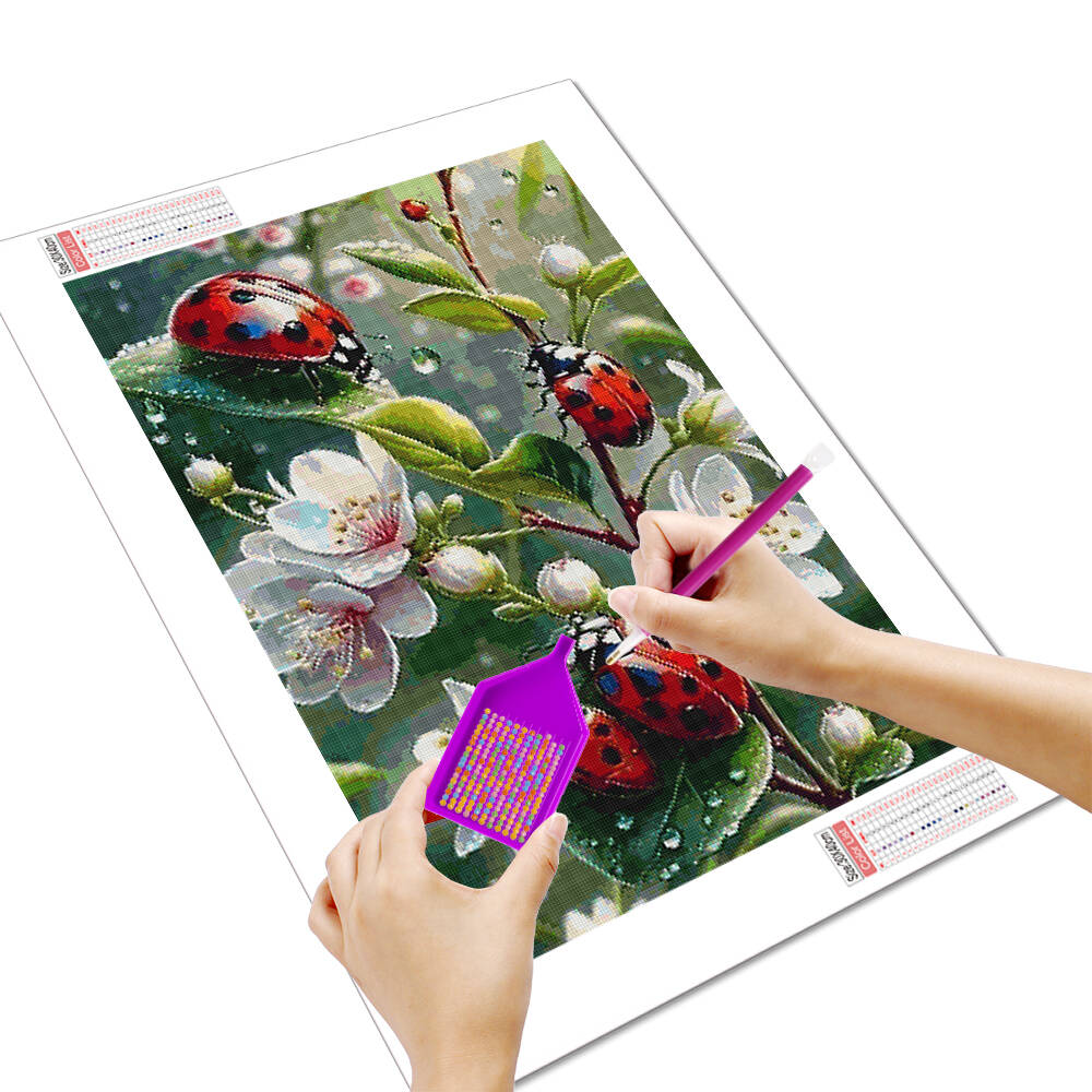 HUACAN 5d Diamond Painting Lad - Embroidery Lady Bug review and price